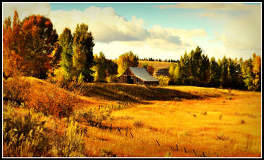 Autumn in Idaho