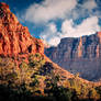 Gorgeous Zion