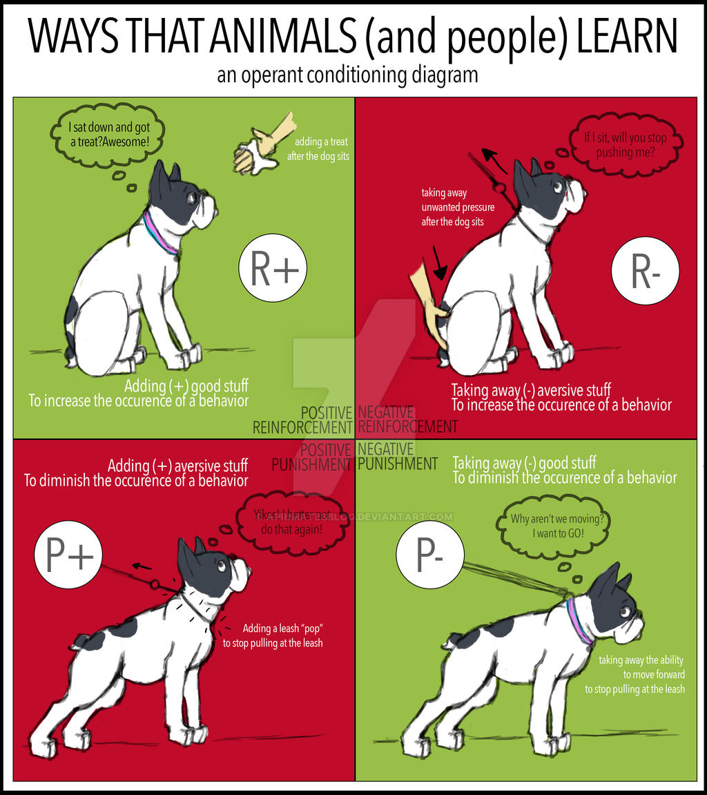 Operant Conditioning Infographic by aprimatesblog on DeviantArt