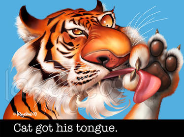 cats tongue