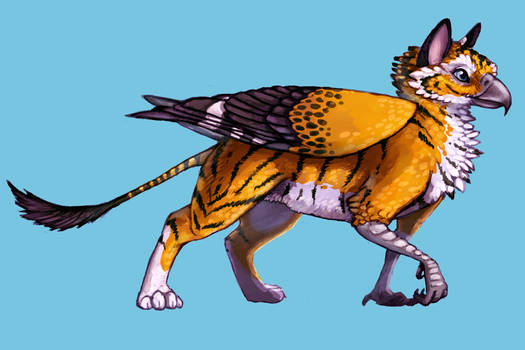 Updated Caly gryph