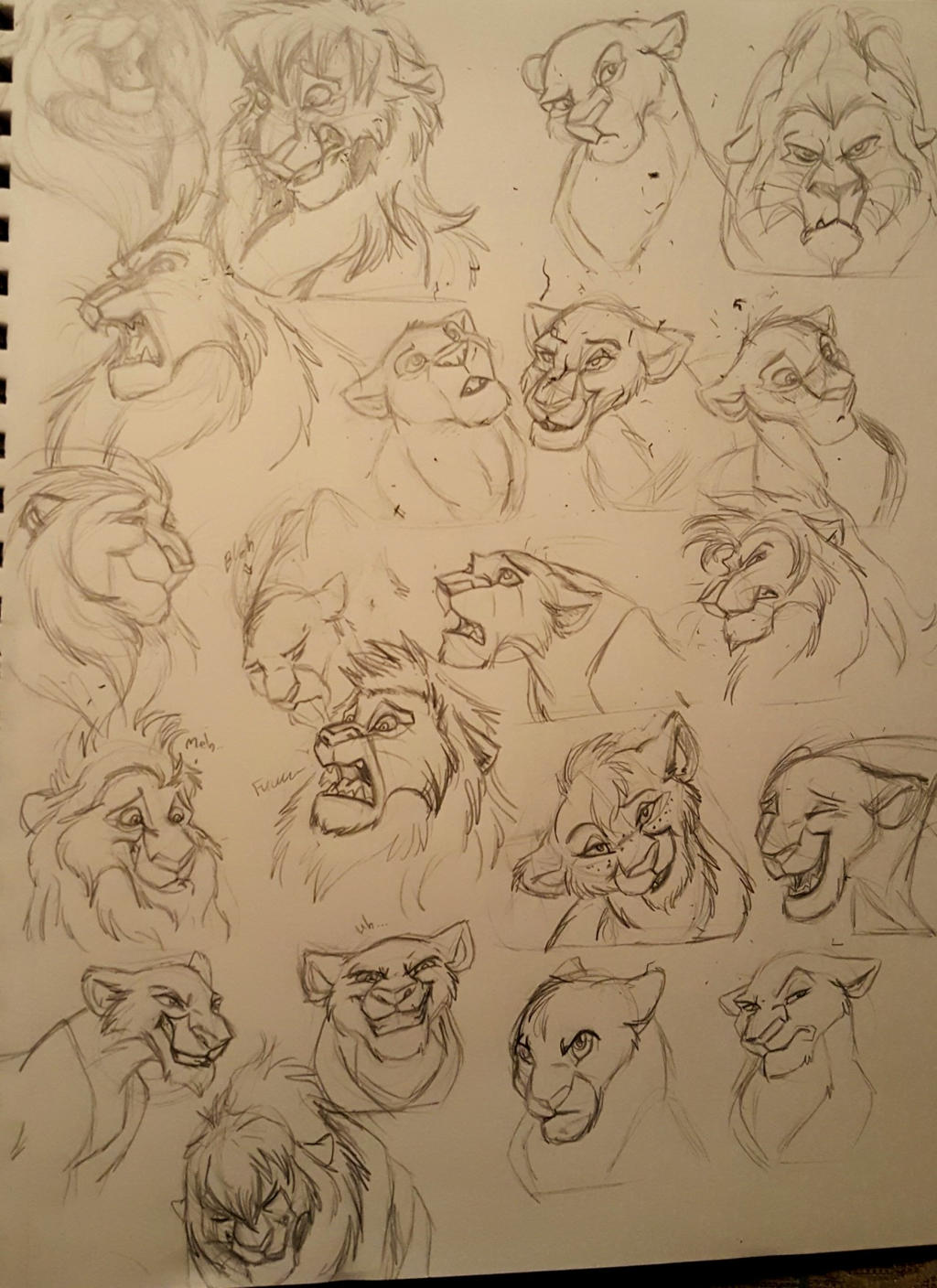 Expressions Practice