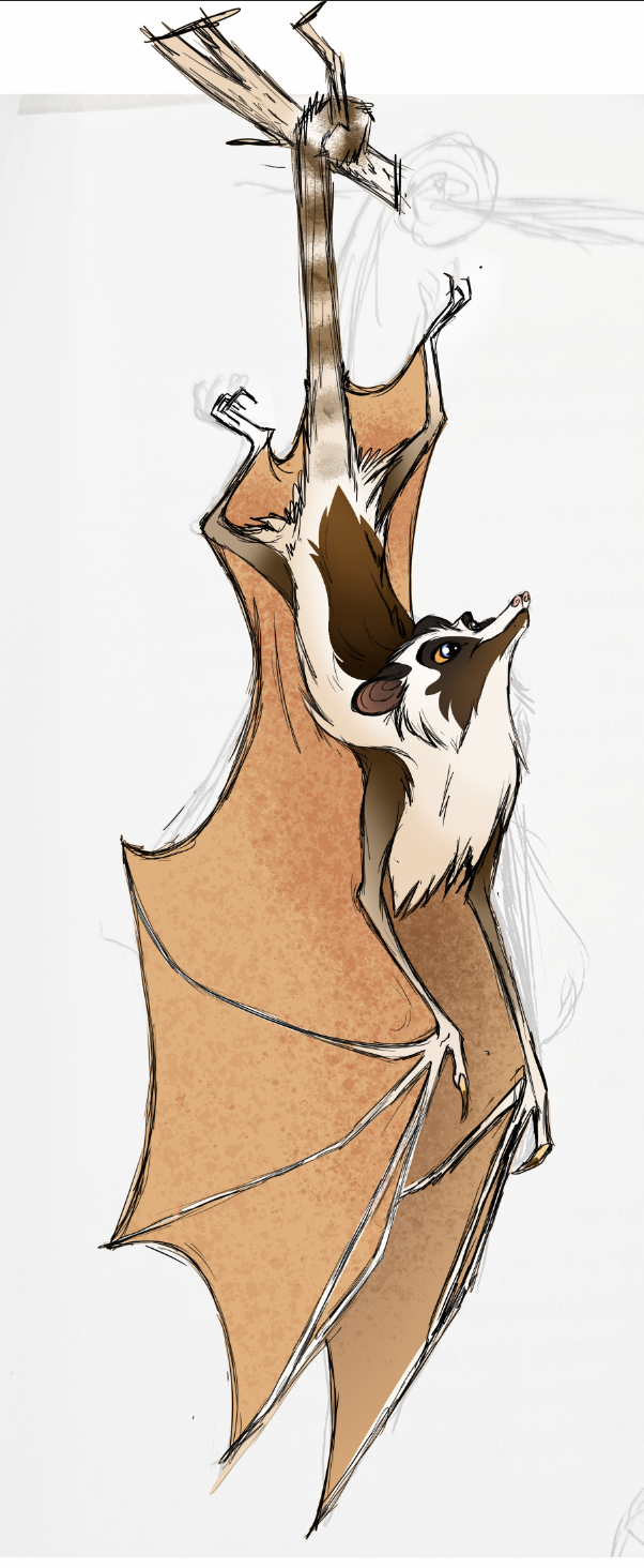 Random Bat Design Rough - Random Bat Species in Concept by albinoraven666fanart on DeviantArt