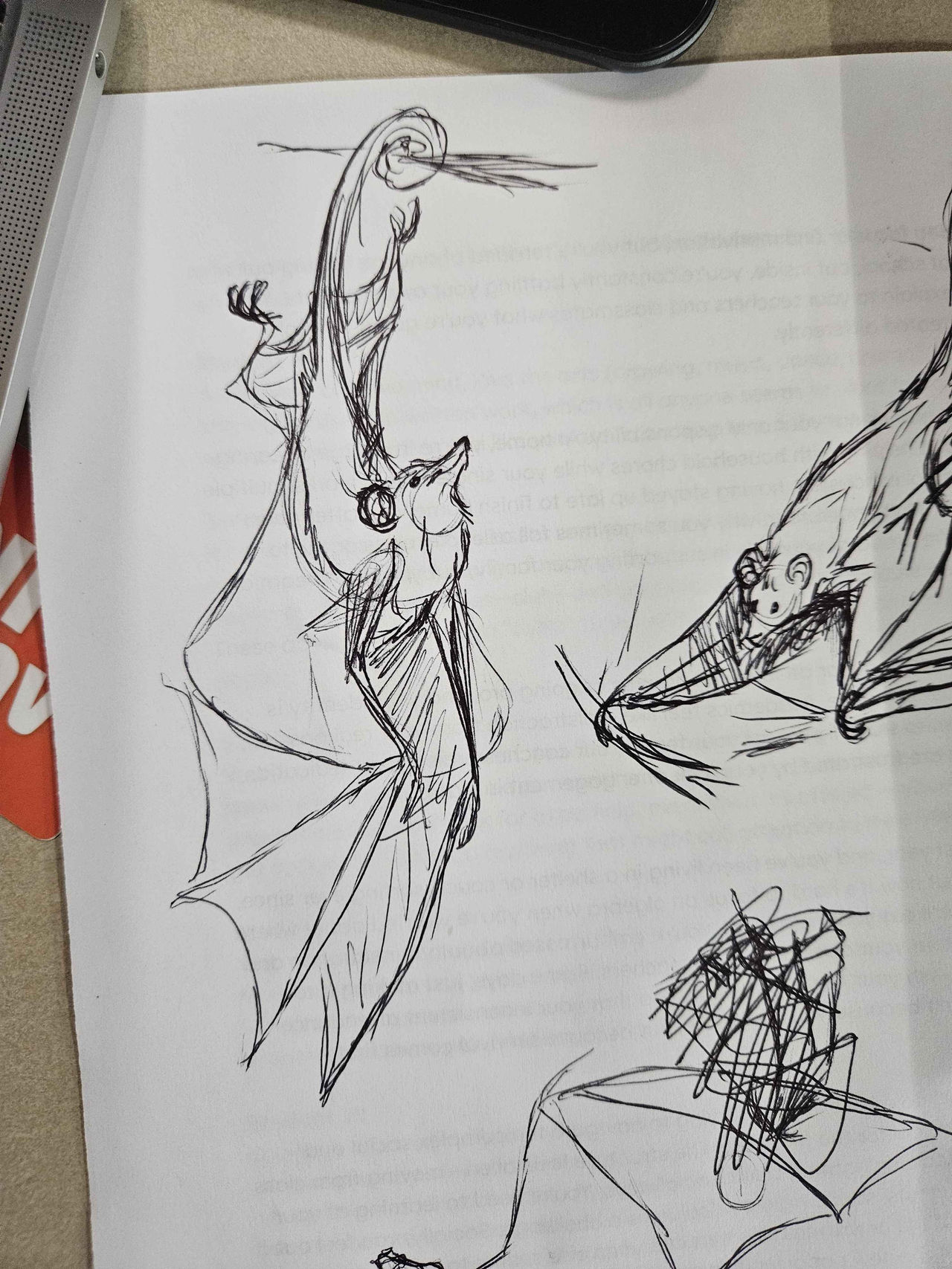 Random Bat Design Rough - Random Bat Species in Concept by albinoraven666fanart on DeviantArt