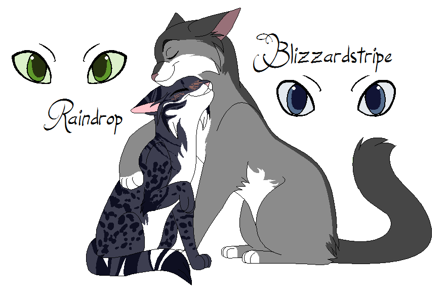 Raindrop and Blizzardstripe