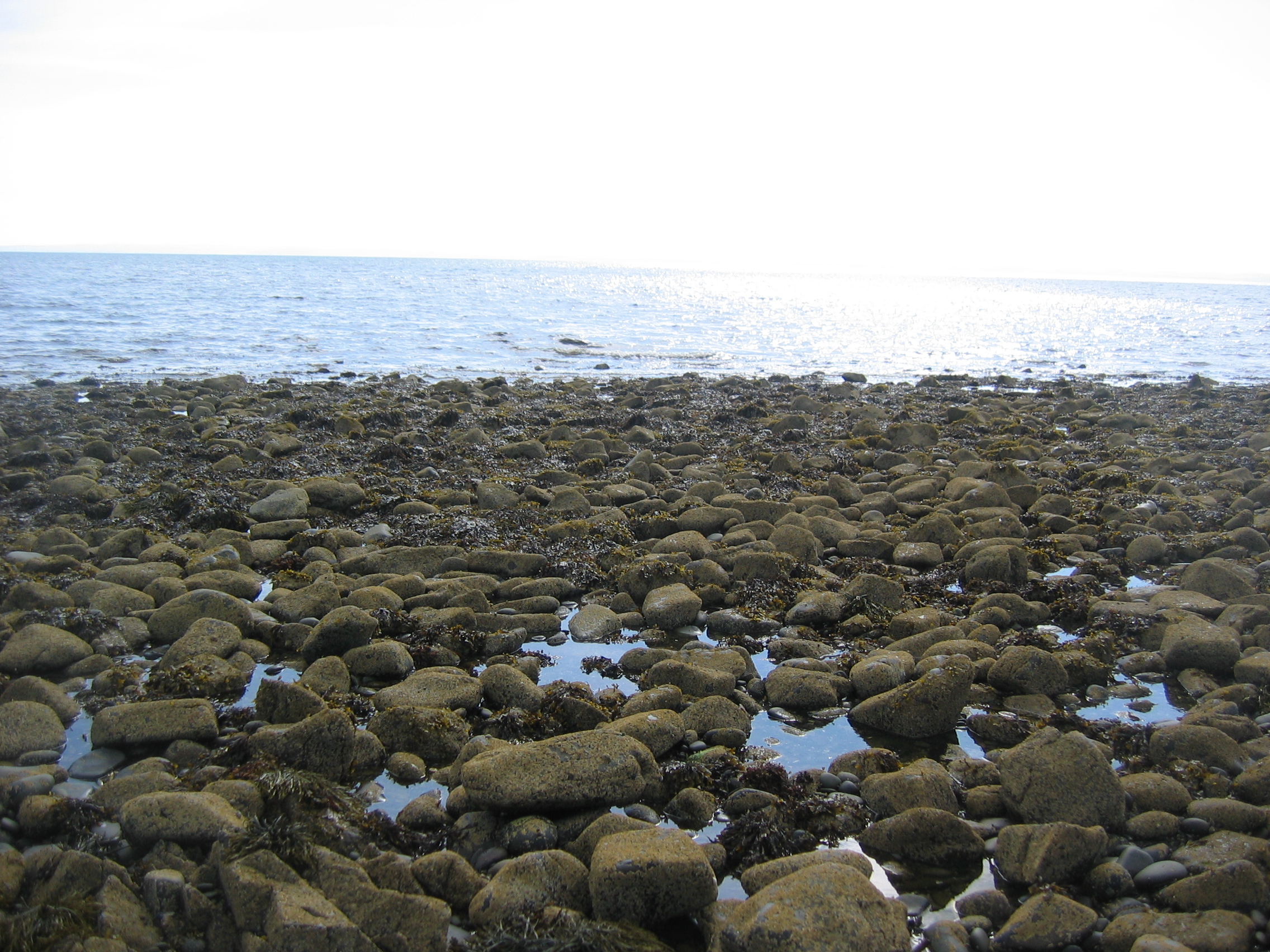 the sky that fell on the rock