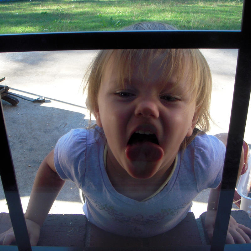 Window Lickerr Licking Windows by Mersadee-benz on DeviantArt