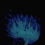 in u im lost