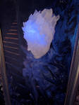 Frozen staircase by Ajala
