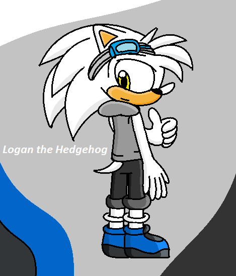 Logan the Hedgehog