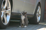 Nice car by Monasso