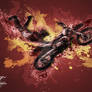 Motocross freestyle