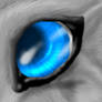 Wolf eye practice