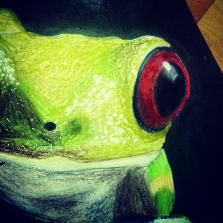 Frog