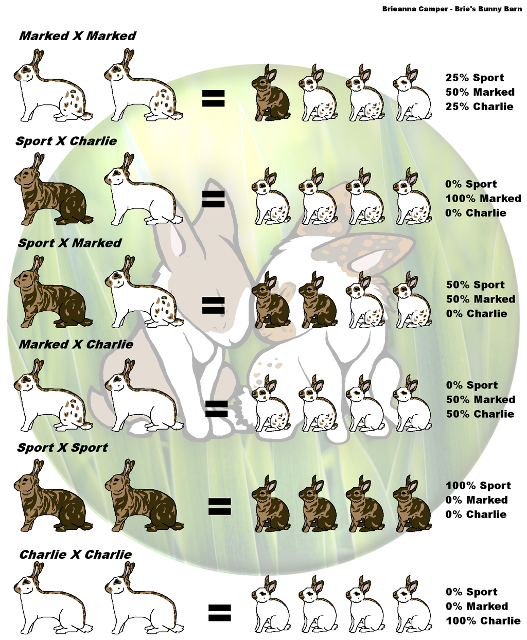 Rheinelander Rabbit Breeding Chart by SoniKwolf1498 on DeviantArt