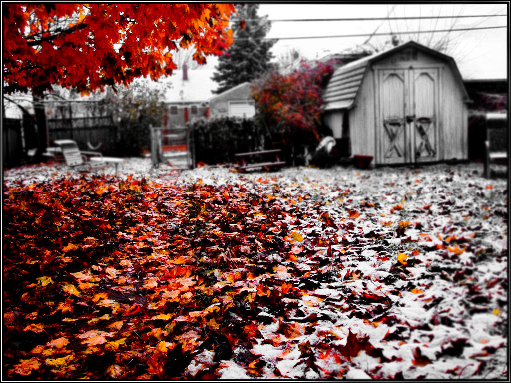 First Snow Fall Sign The first snow fall by adamkoch on DeviantArt