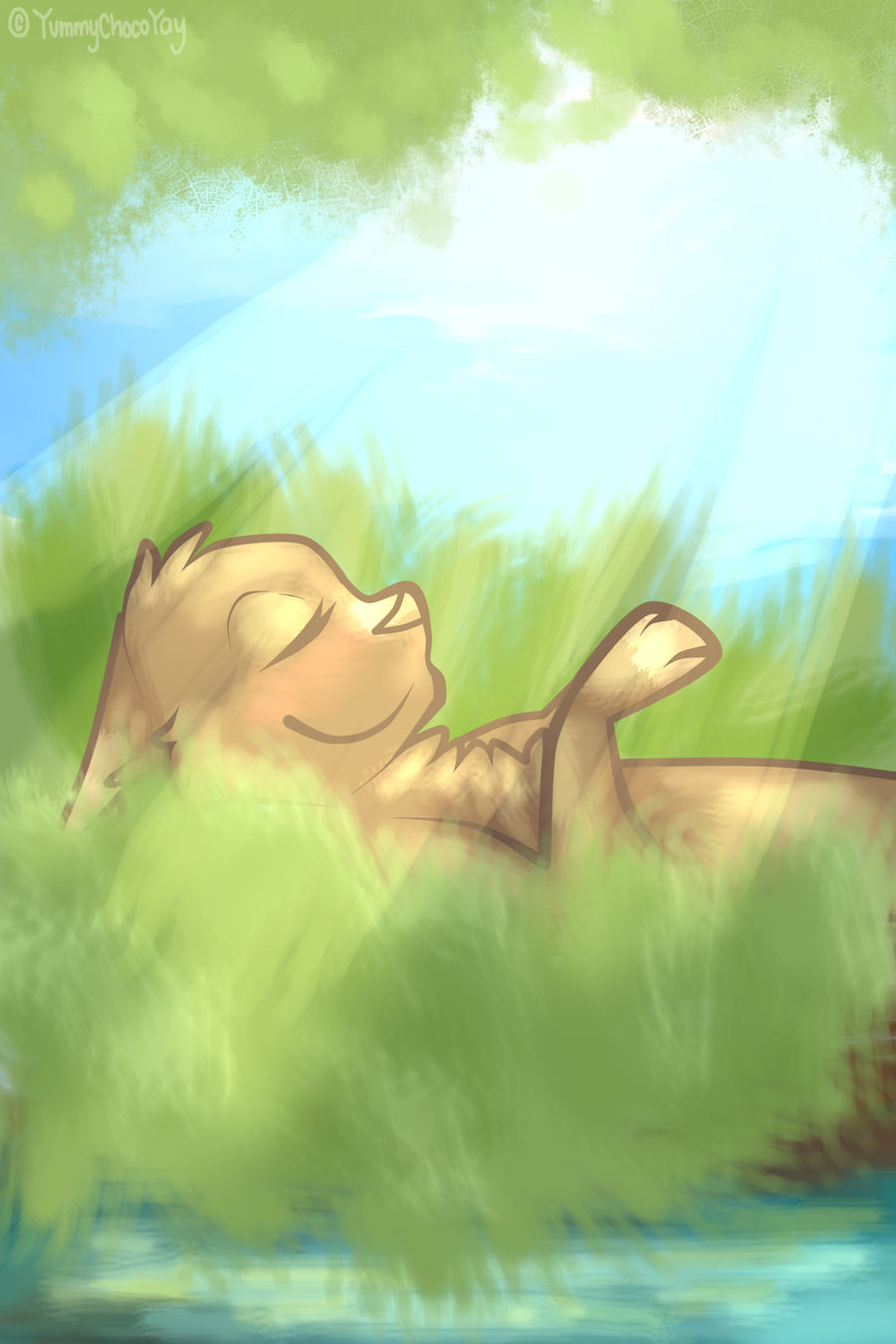 A Nap Under The Sunshine