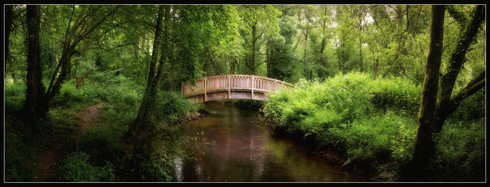 Wooden bridge