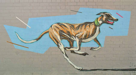 GREYHOUND