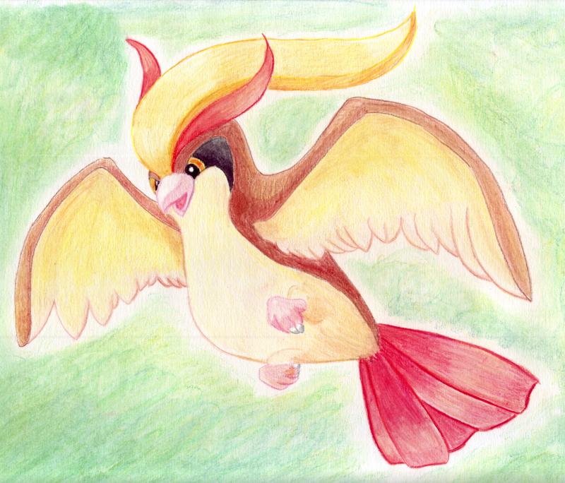 Pidgeot