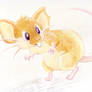 Raticate