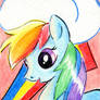 RainbowDash ATC