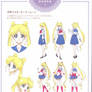 Usagi and Sailor Moon (SMCIII Settei)