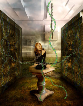 Prisoner in Holographic Paradise (2011)