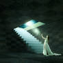 Enchanted by False Light (2022)