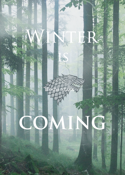 Game of Thrones House Stark Poster