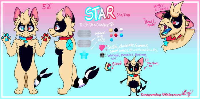 2024 Reference sheet Star