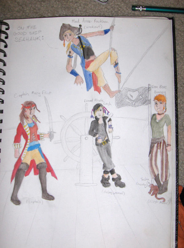 Pirate Paintings1 by Faithfulguardian on DeviantArt
