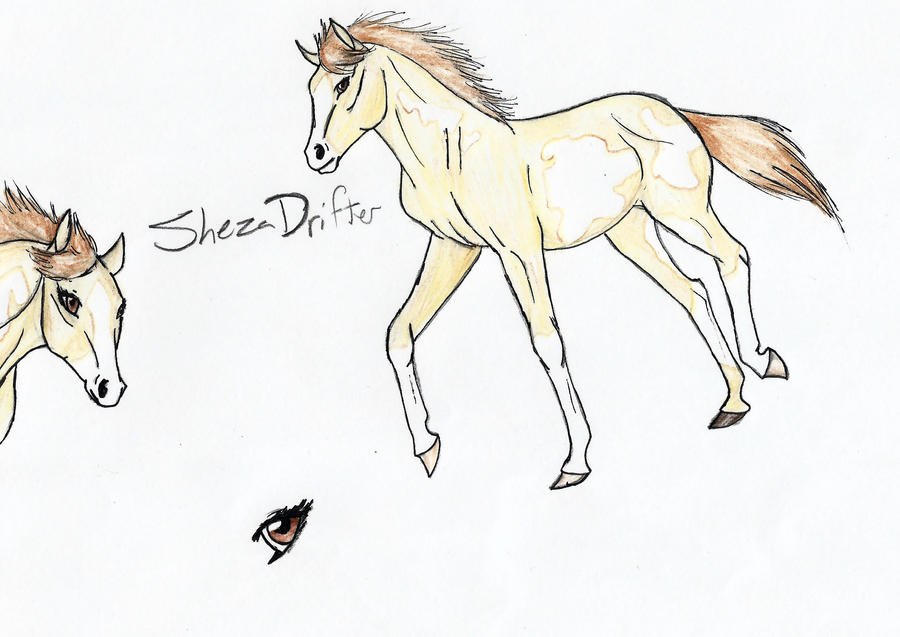 ShezaDrifter