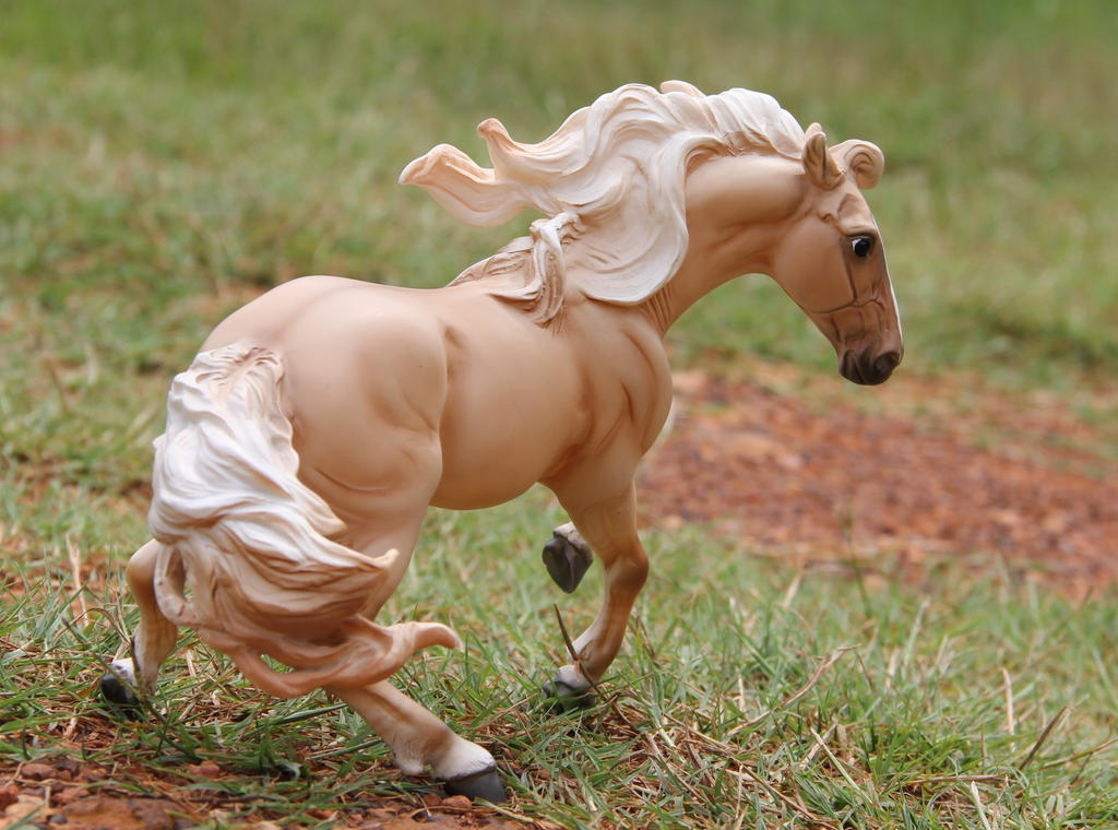 Cheveyo by naomithewolf on DeviantArt