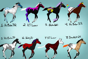 Foal batch 4