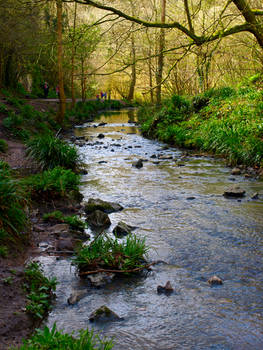 A peaceful spring afternoon