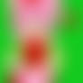amy rose reto 2
