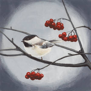 Chickadee in a Mountain Ash