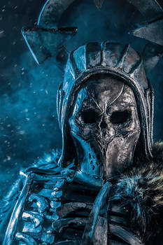 The Witcher - Wild Hunt General cosplay