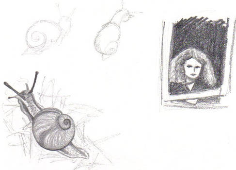Snail Study
