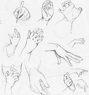 Life Drawing: Hand Studies