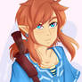 Link Our Hero