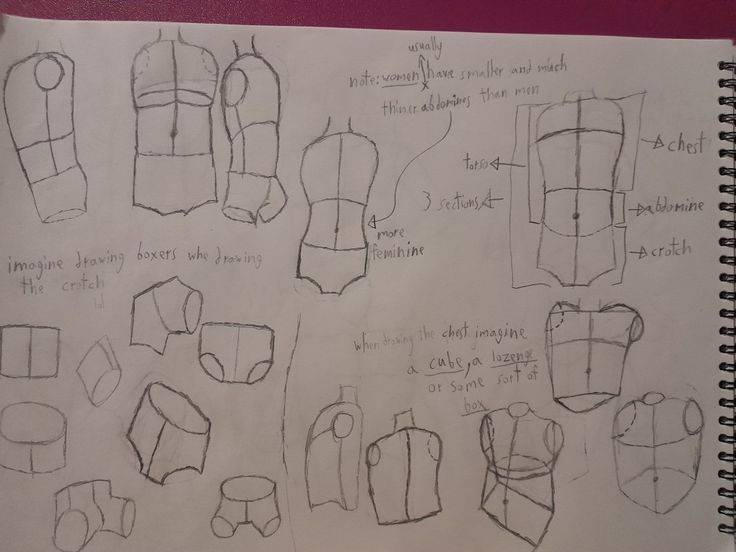 Drawing Anatomy 2 by MrSmiley010 on DeviantArt