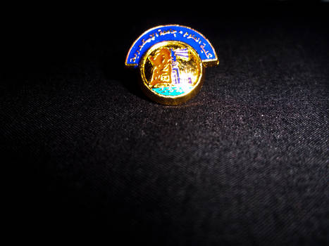 Pin of Honour