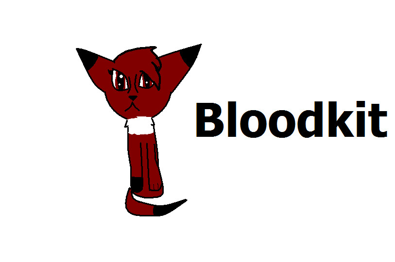 Bloodkit (Happy birthday Diamond)