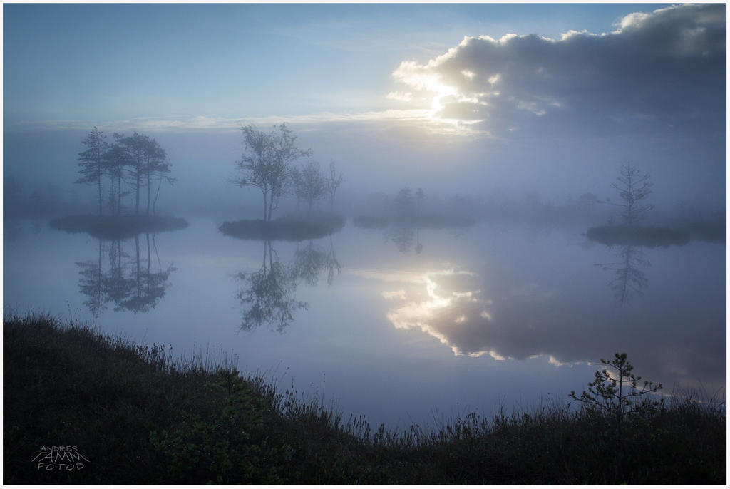 The fogly morning