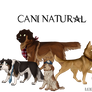 Caninatural