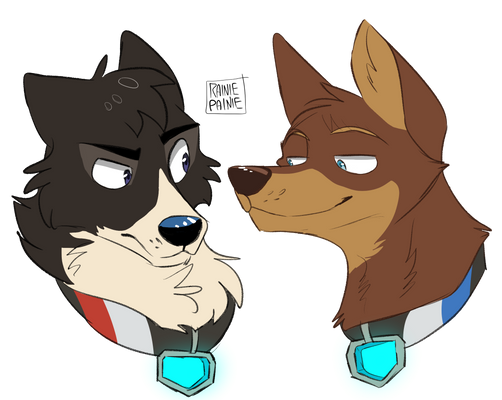 VLD Dogs- Klance