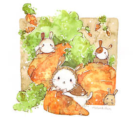 Carrots