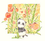 panda by Melonkitten